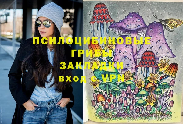 МДПВ Абдулино