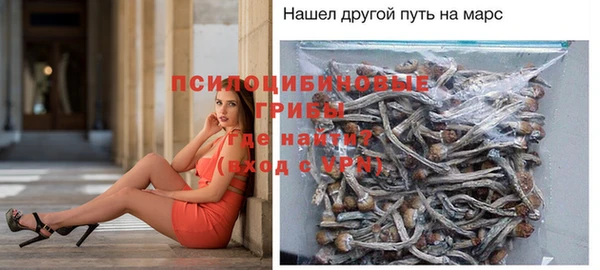 герыч Осинники