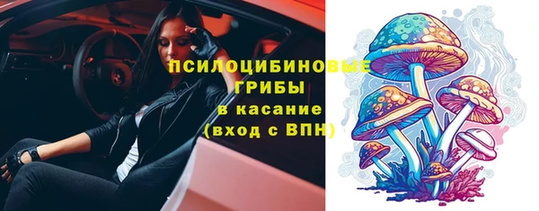 МДПВ Абдулино