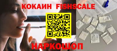 крисы Шелехов