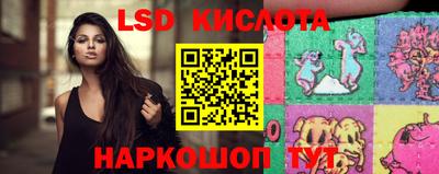 крисы Шелехов