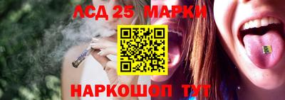 крисы Шелехов