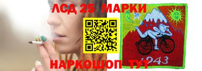 крисы Шелехов