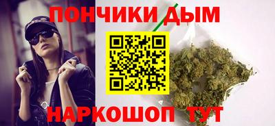 крисы Шелехов