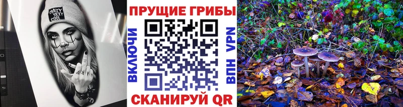 Галлюциногенные грибы ЛСД где можно купить МЕГА ONION Кисловодск